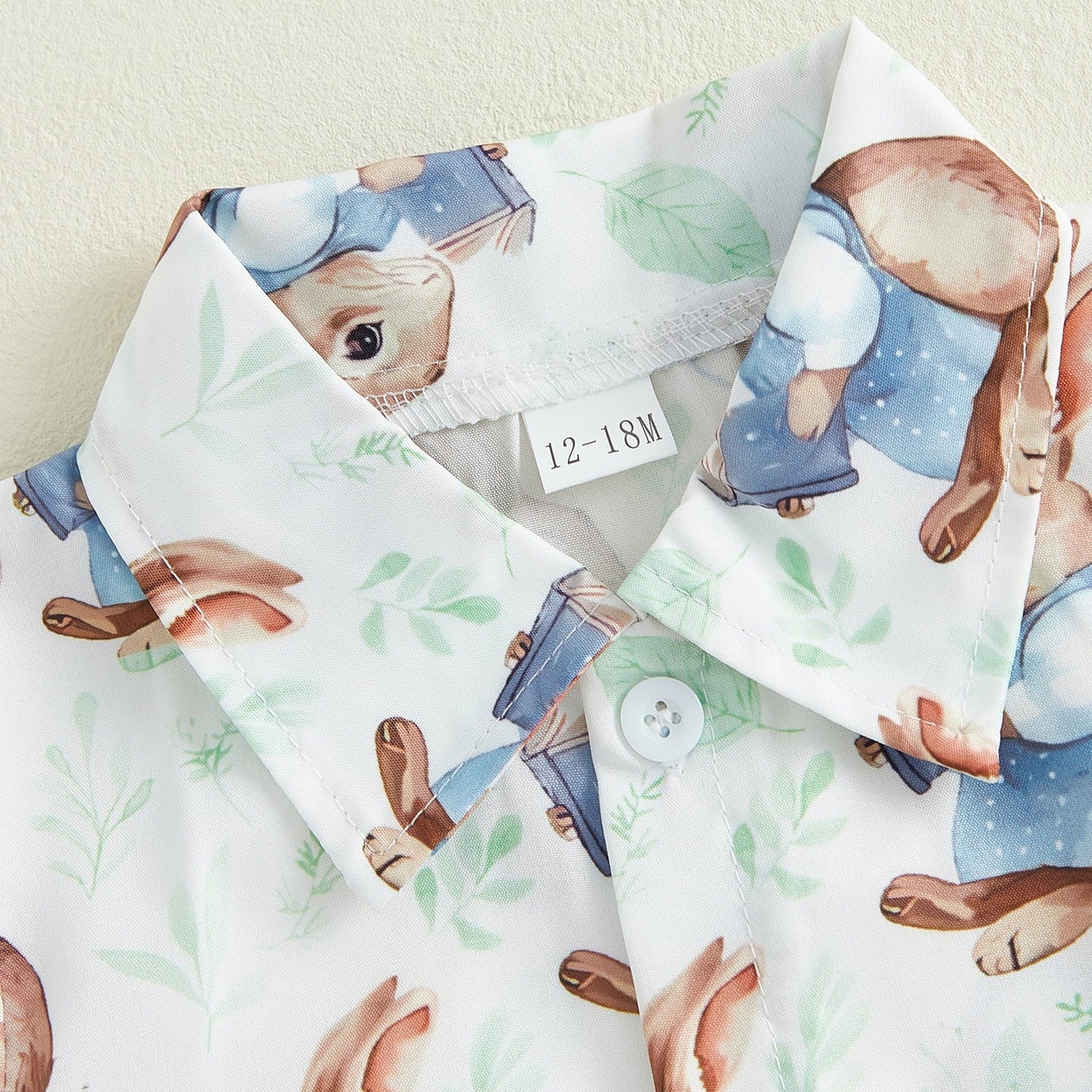 Kleinkinder-Osteroutfit – Hasen- und Karotten-Reversshirt für Jungen